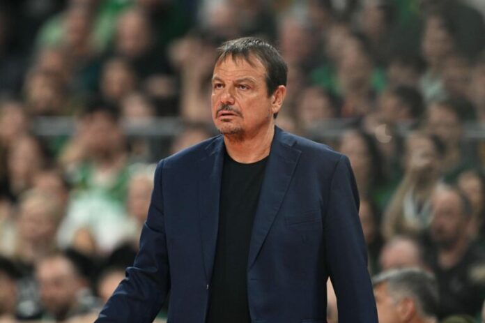 ataman-1-768x511.jpg