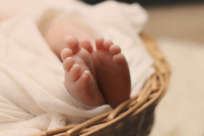 baby-pex-768x512.jpg
