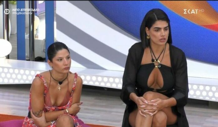 big-brother-1-768x449.jpg