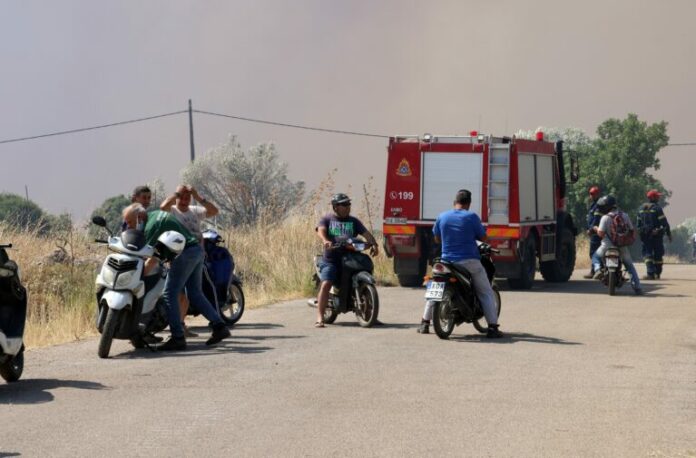 chios-fotia-tora-768x505.jpg