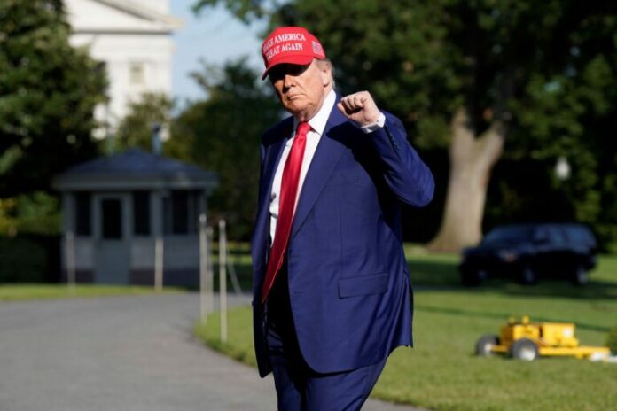 d_trump-768x512.jpg