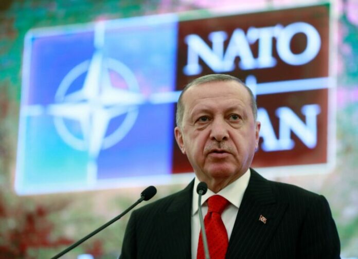erdogan-1-768x556.jpg