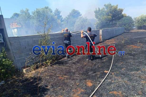 evia.jpg