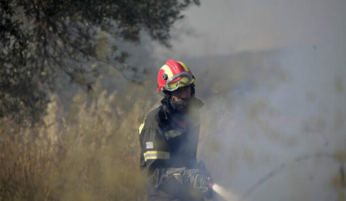 fotia-argolida-1200x700-1-768x448.jpg