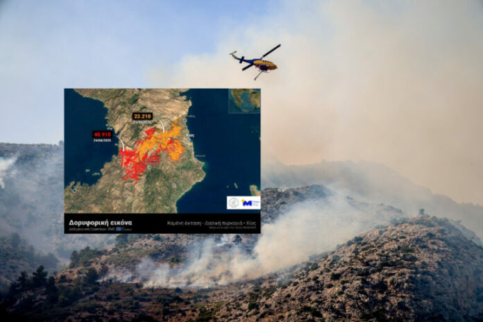 fotia-chios-1-768x512.jpg