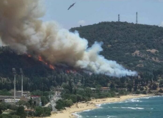 fotia-stin-kavala-768x557.jpg