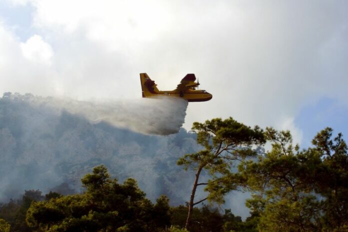 fotia_aeroplano-768x512.jpg