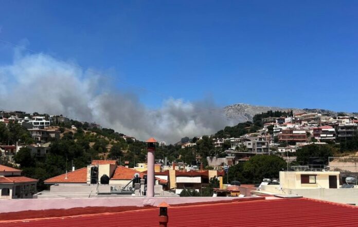 fotia_chios-768x488.jpg