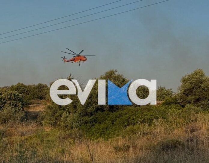 fotia_evoia_22_iouniou_2025_02-768x597.jpeg