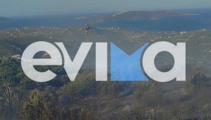 fotia_evoia_22_iouniou_2025_03-768x438.jpg
