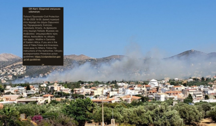 image-18-1-768x448.png