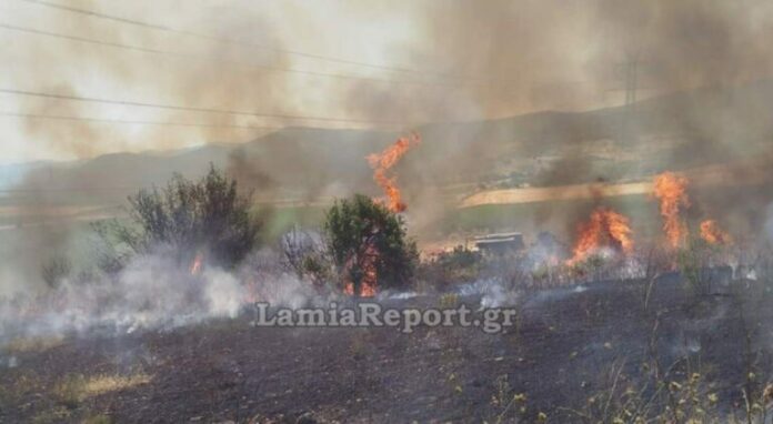 lamia1-768x422.jpg