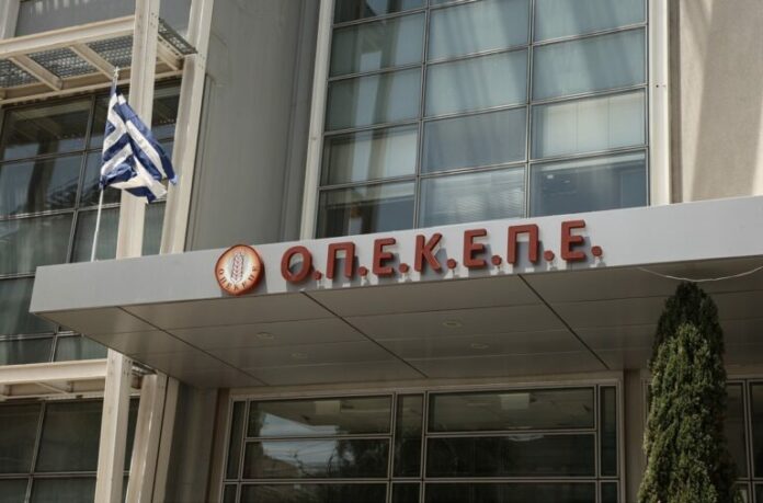 opekepe-6-768x507.jpg