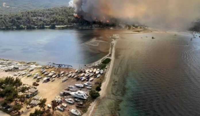 FOTIA_CHALKIDIKI-2-768x448.jpg