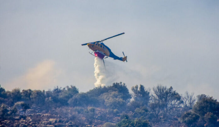 FOTIA_TORA-1-1-768x448.jpg