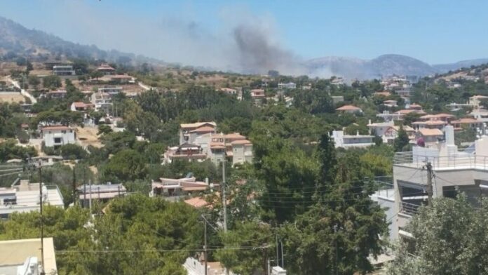 FOTIA_TORA_KOROPI-768x432.jpg