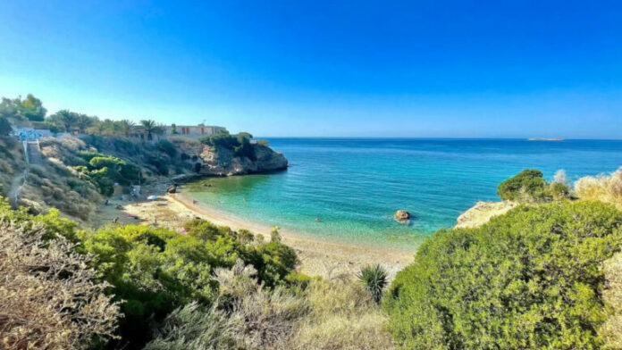 PARALIA_ALTHEA-768x432.jpg