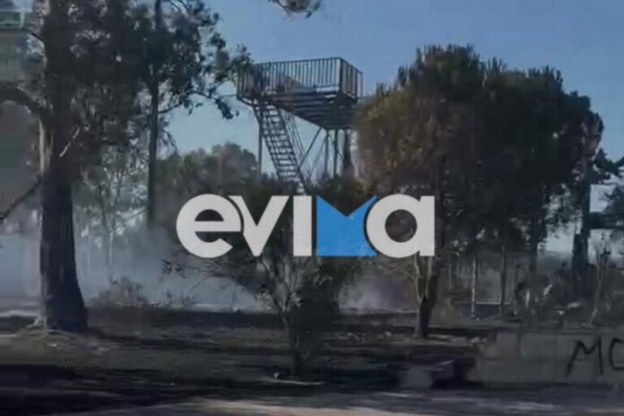 aliveri-eyvoia-fotia-kaike-poyhoros-768x512.jpg