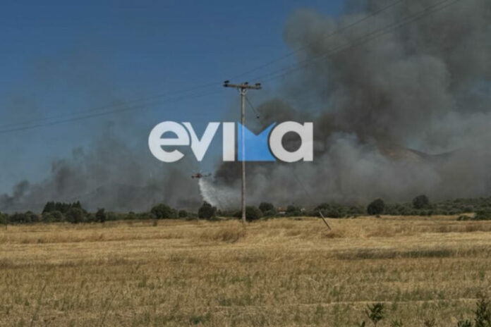 aliveri-eyvoias-fotia-112-768x512.jpeg