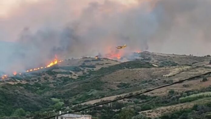 canadair-fotia-eyvoia-1-768x432.jpg