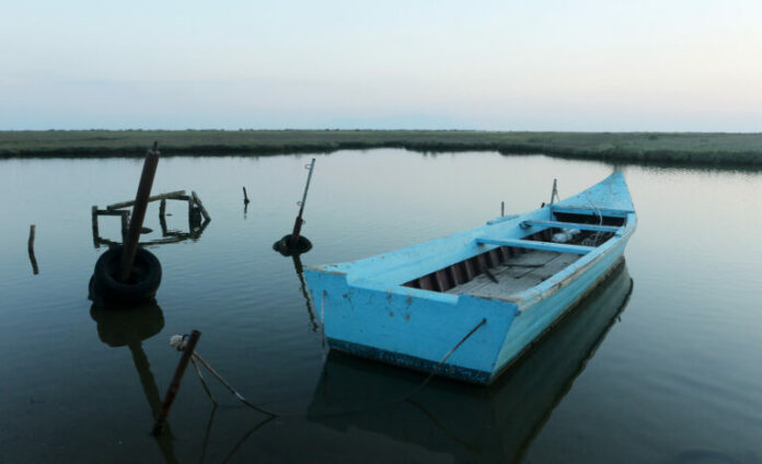 ebros2-2-768x468.jpg