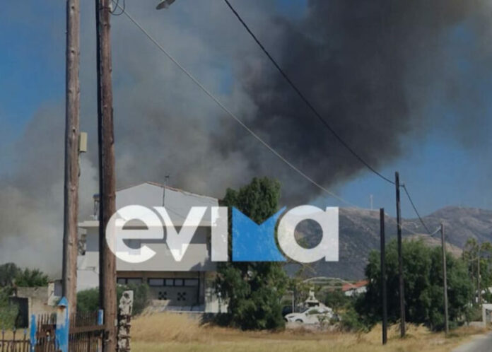 eyvoia-aliveri-fotia-02-768x550.jpeg