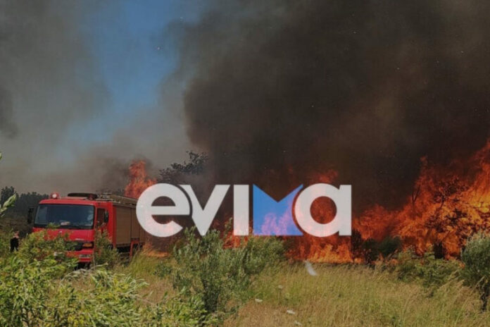 eyvoia-aliveri-fotia-768x512.jpeg