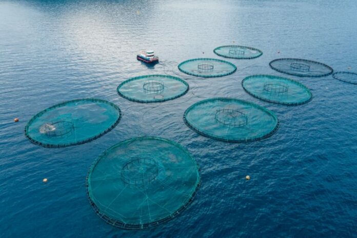 fishfarms-768x512.jpg