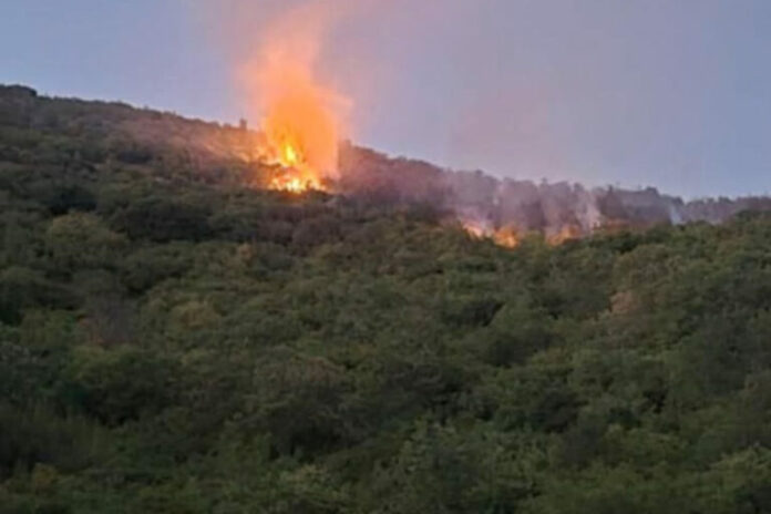 fotia-deskati-grevena-768x512.jpg