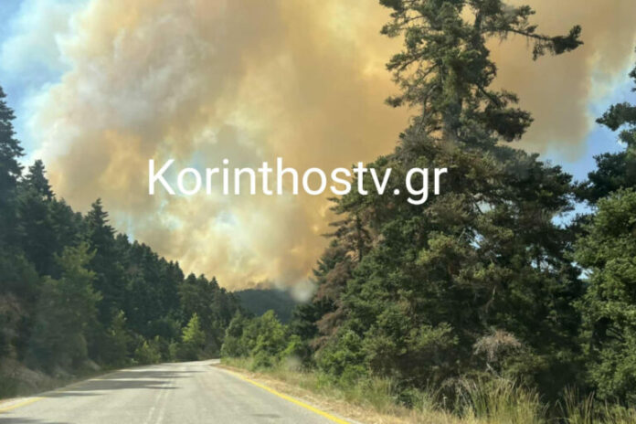 fotia-feneos-korinthias-768x512.jpg