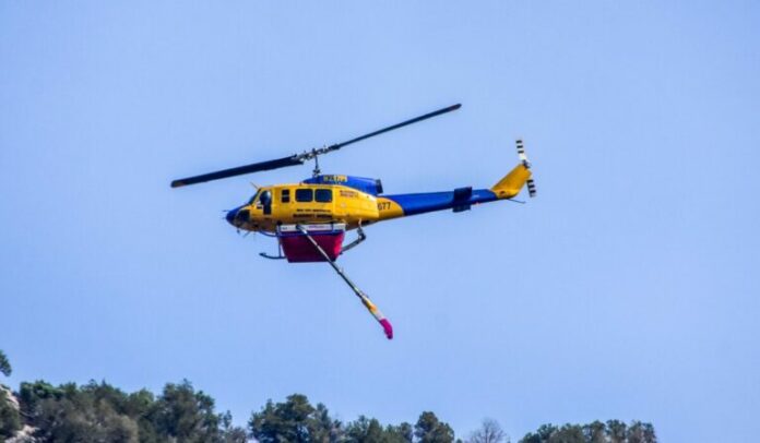 fotia-tora-768x448.jpg