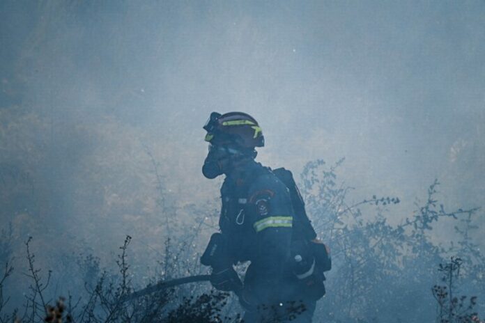 fotia_II-768x512.jpg