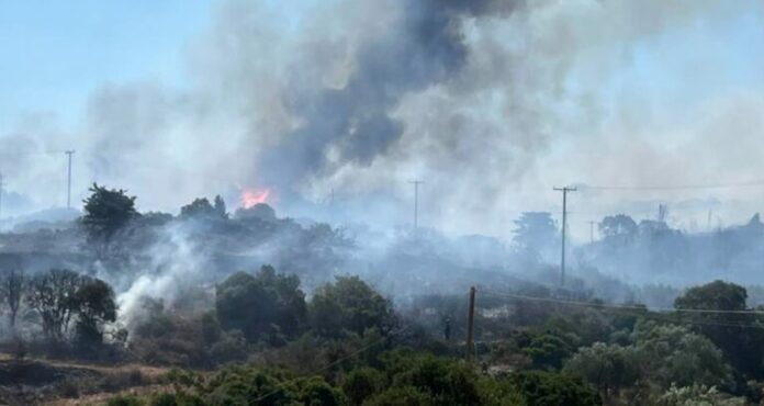 fotia_kythira-768x408.jpg