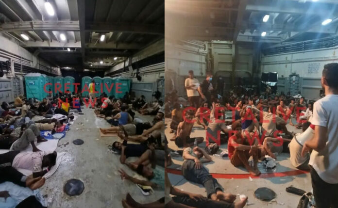 metanastes_XIOS-768x473.jpg