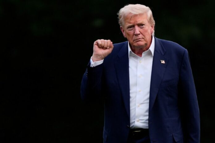 trump-7-768x512.jpg