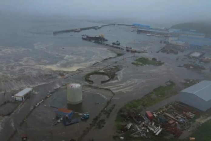 tsunami-live-768x512.jpg