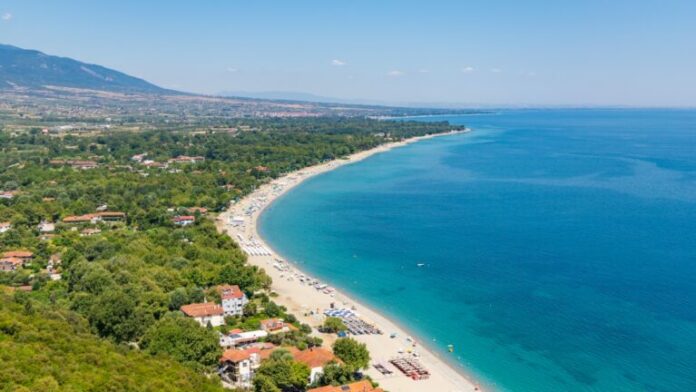 PLATAMONAS-768x432.jpg