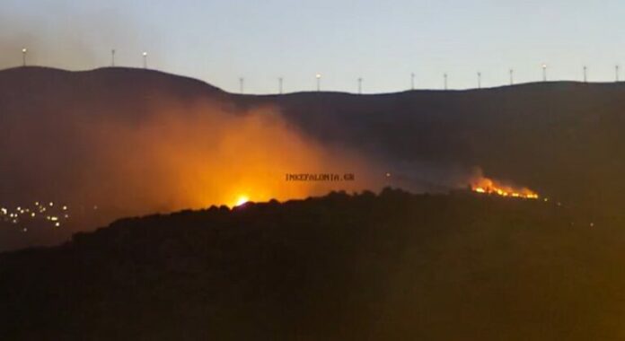 fotia-argostoli-768x419.jpg