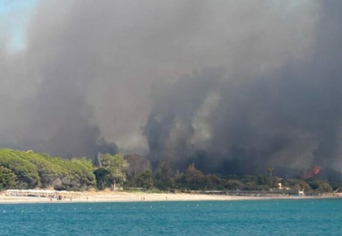 fwtiapreveza-768x531.jpg