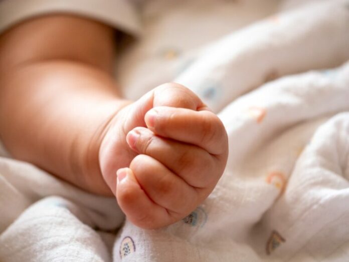 baby-2-768x577.jpg