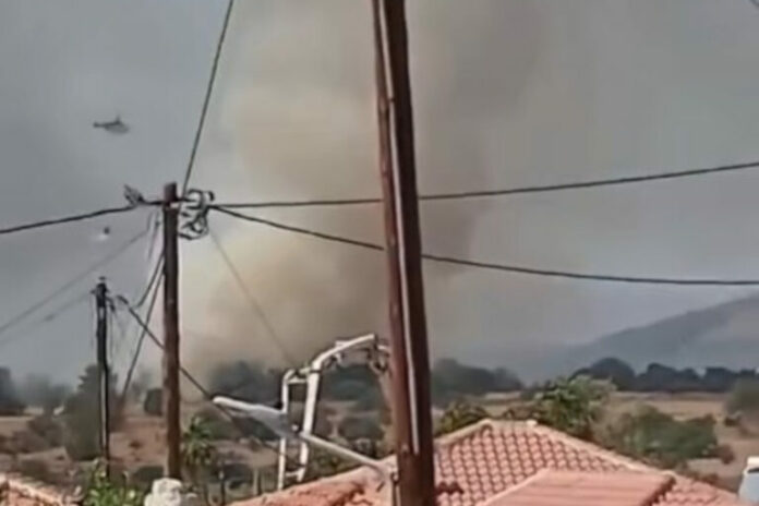 fotia-lesvos-768x512.jpg