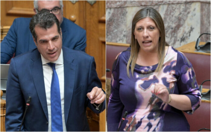 thanos-plevris-zoi-konstantopoulou-vouli-768x480.jpg