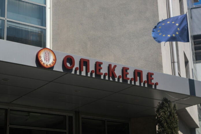 OPEKEPE-2-1-768x512.jpg