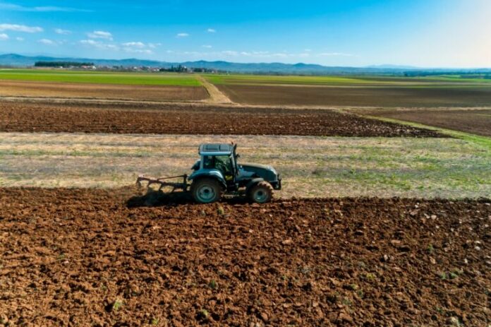 farmers-768x511.jpg