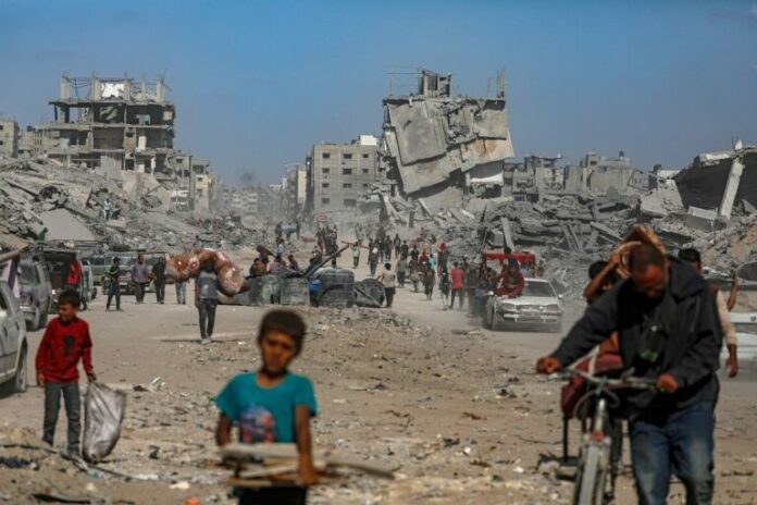 gaza-15-768x512.jpg
