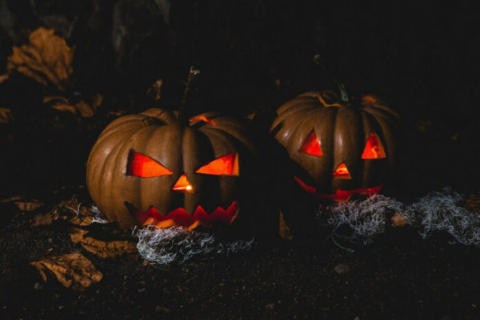 haloween-768x512.jpg
