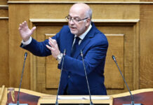 Φλωρίδης: Όχι στη διεύρυνση των κριτηρίων για τη νόμιμη οπλοκατοχή