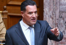 Γεωργιάδης: Δεν μου αρέσει η υποκρισία, η Καρυστιανού πρέπει να πει αν θα κάνει κόμμα ή όχι