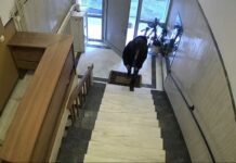 Η απάτη της δεκαετίας: Λεία ύψους 35 εκατ. ευρώ «βλέπει» η ΕΛ.ΑΣ.