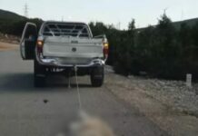 Φρίκη στη Βοιωτία: Έδεσε σκύλο και τον έσερνε με το αγροτικό